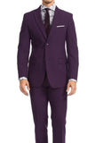 SAINLY Men's Two Piece Suit 32 / 36 Men Suits Purple 2 Piece Slim Fit Suit Elegant Men Suit Party Wear Suit Men's Clothing